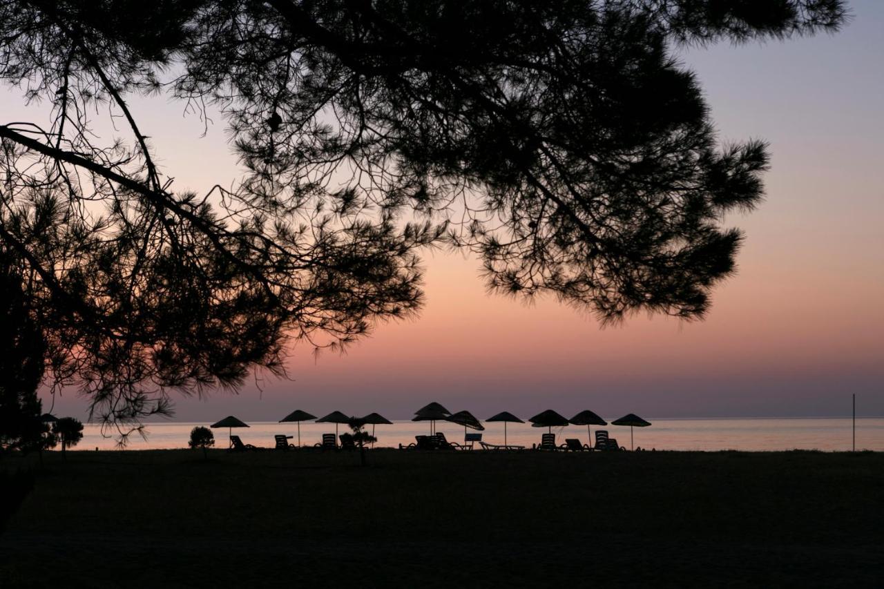 Gayb-I Bungalows By Naturelife - Free Access To Beach Çıralı Exteriér fotografie